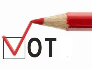 vot+camapanie+electorala