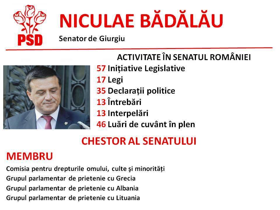 badalau activitate